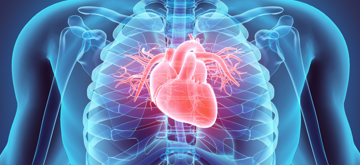 FDA Issues Alert on Device that May Perforate the Heart